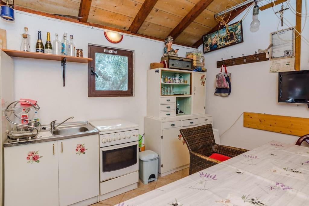 Apartment Roko - Up To 4 People With Free Parking Zadar Exterior photo